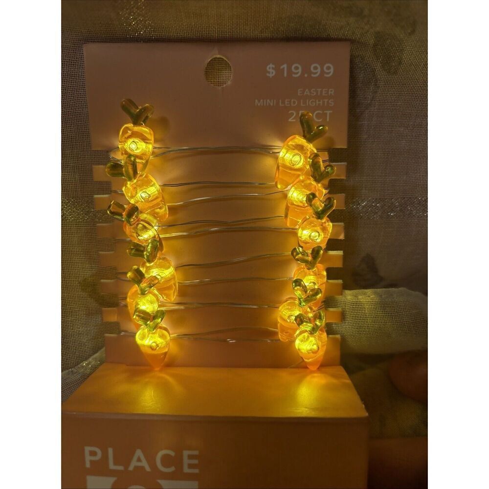 New Place & Time Easter Lights Carrots 25 LED Lights - Picture 3 of 5